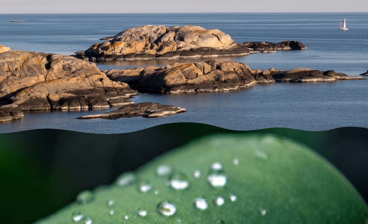 Callidus utvecklar sin identitet med fokus på vattenrening och hållbarhet